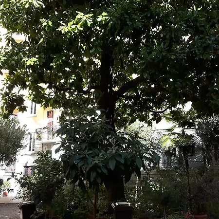 Frühstückspension Bronzino House 3*