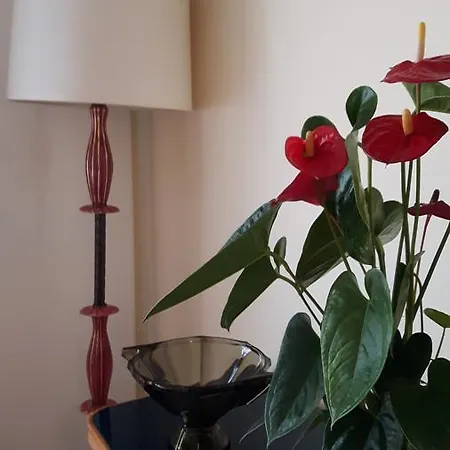 Bronzino House 4* 밀라노